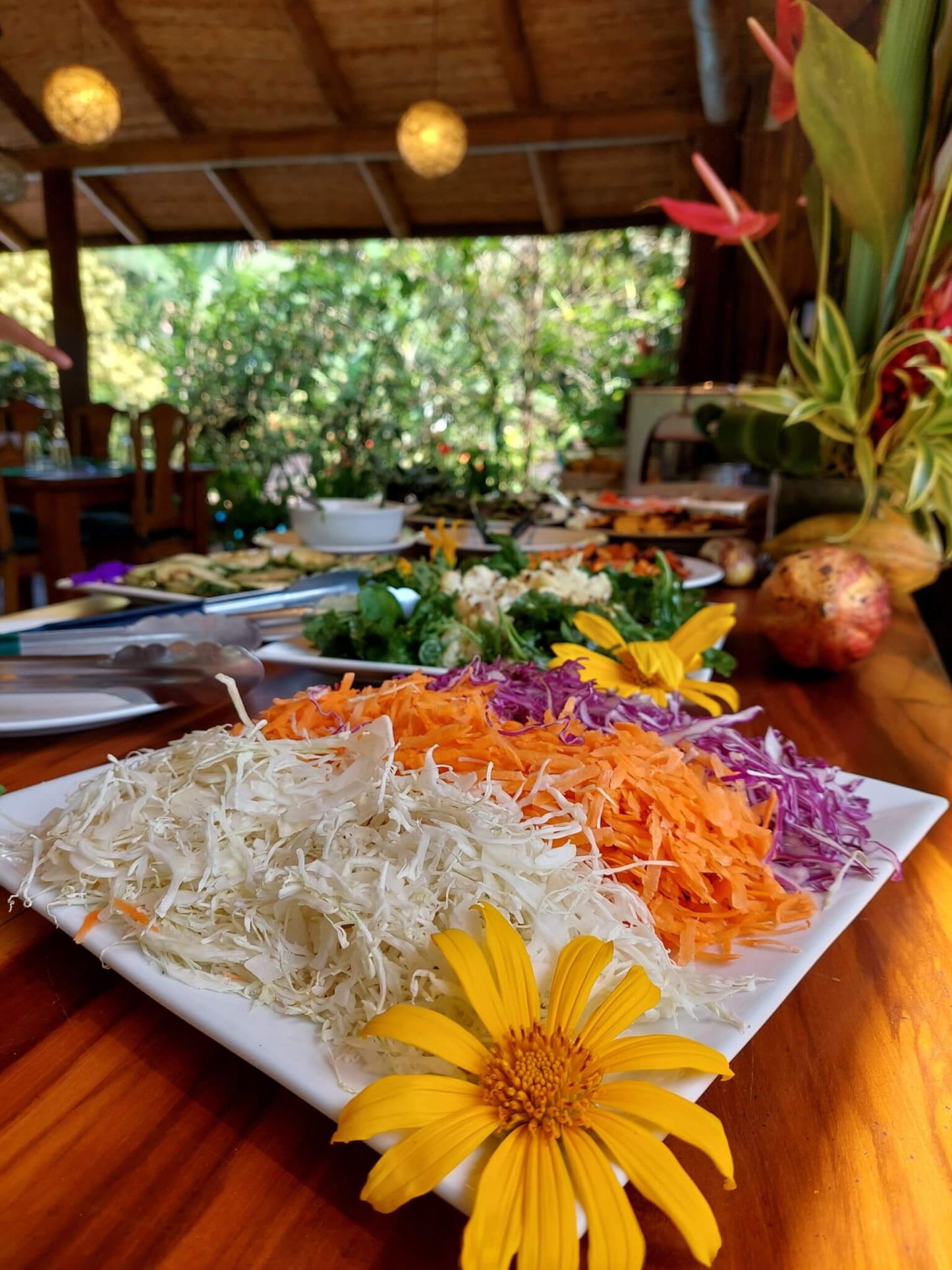 Costa Rica Breakthrough & Bloom Retreat — Business + Empowerment